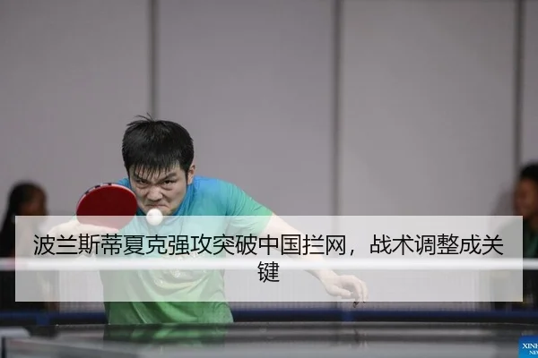 bo-lan-si-di-xia-ke-qiang-gong-tu-po-zhong-guo-lan-wang-zhan-shu-tiao-zheng-cheng-guan-jian-2-281.jpg